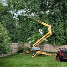 How Our Tree Care Process Works  in  Island Heights, NJ